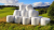 Agricultural plastic films in use