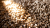 bio-sourced filler material bio-sourced filler material